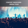 INDOCHINE - Arena Tour