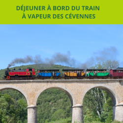 DÉJEUNER À BORD DU TRAIN À VAPEUR