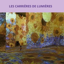 LES CARRIÈRES DE LUMIÈRE EN JOURNÉE LIBRE