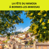 LA FÊTE DU MIMOSA 2025