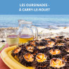 LES OURSINADES DE CARRY-LE-ROUET
