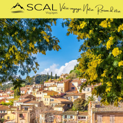 LA FÊTE DU MIMOSA 2025