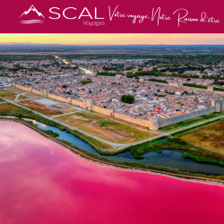 JOURNÉE EN TERRE DE CAMARGUE