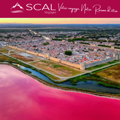 JOURNÉE EN TERRE DE CAMARGUE